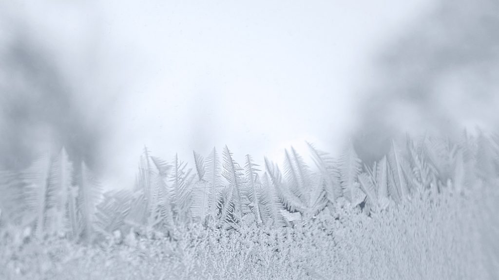 Winter Window Frost